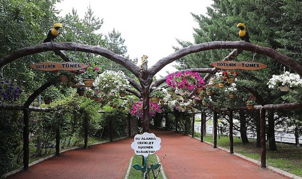 Ke&ccedil;i&ouml;ren'de Modern Serada &Uuml;retilen &Ccedil;i&ccedil;ekler İl&ccedil;eyi S&uuml;sl&uuml;yor