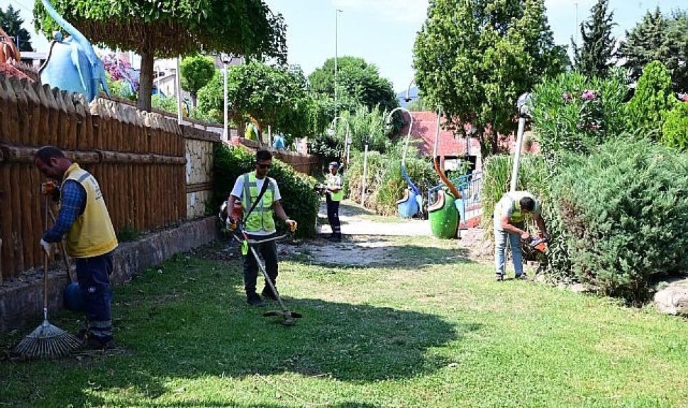 Aydın B&uuml;y&uuml;kşehir Belediyesi'nden S&ouml;ke'de &Ccedil;evre D&uuml;zenleme ve Peyzaj &Ccedil;alışması