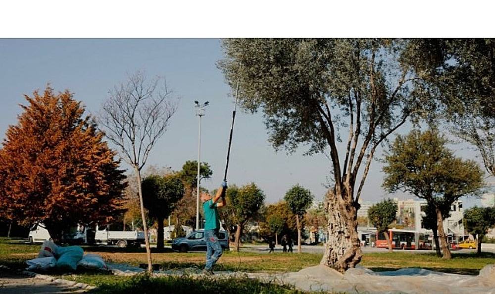 Balçova Belediyesi'nden Kentin Bereketine Sahip Çıkan Örnek Çalışma