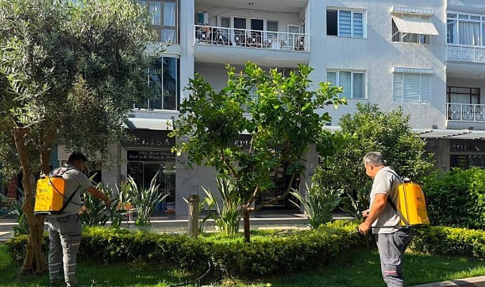  B&uuml;y&uuml;kşehir'den Kemer Liman Caddesi'nde bakım onarım &ccedil;alışması