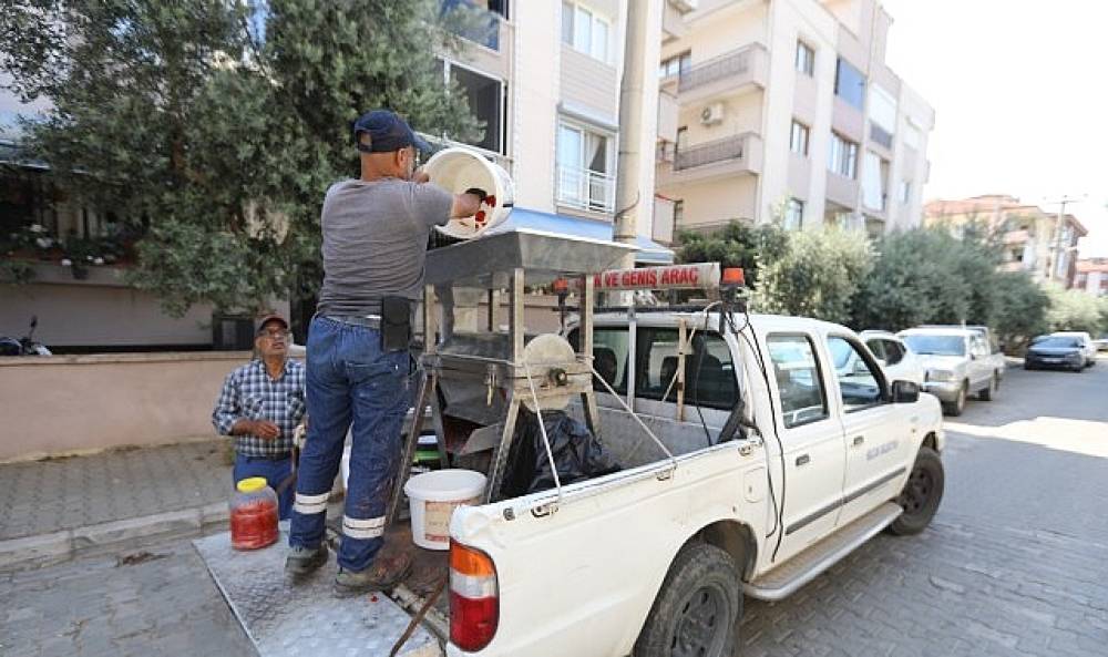 Efes Sel&ccedil;uk'ta Sal&ccedil;alar Ailece Hazırlanıyor, Belediye Makine ile Destek Oluyor
