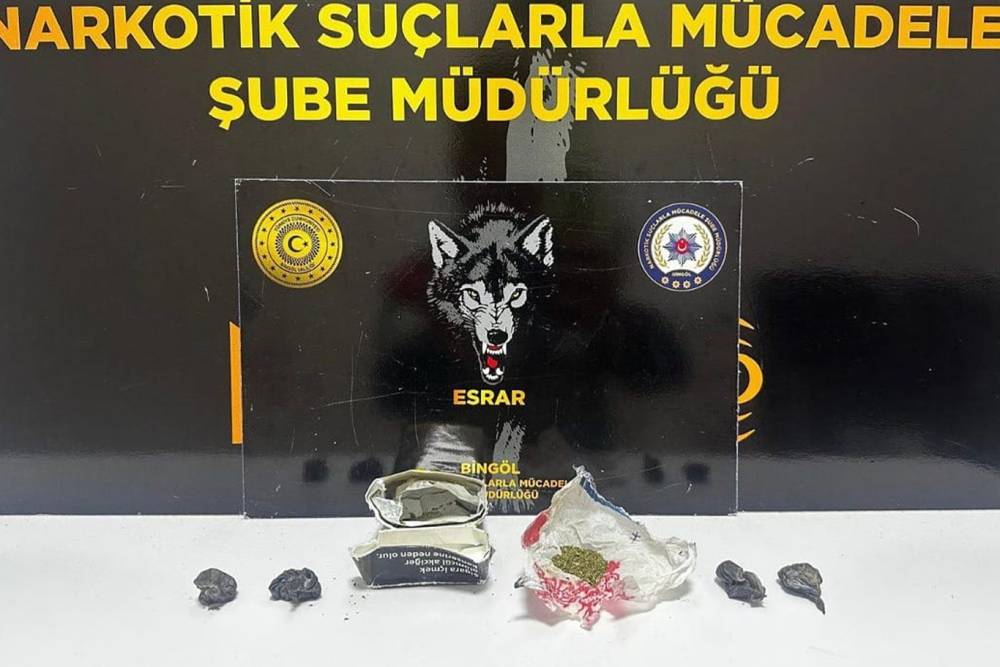 Bingöl’de uyuşturucu operasyonu: 2 gözaltı
