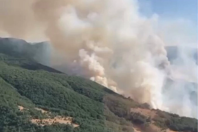 İzmir ve Bilecik'te Yangın Alarmı Sürüyor