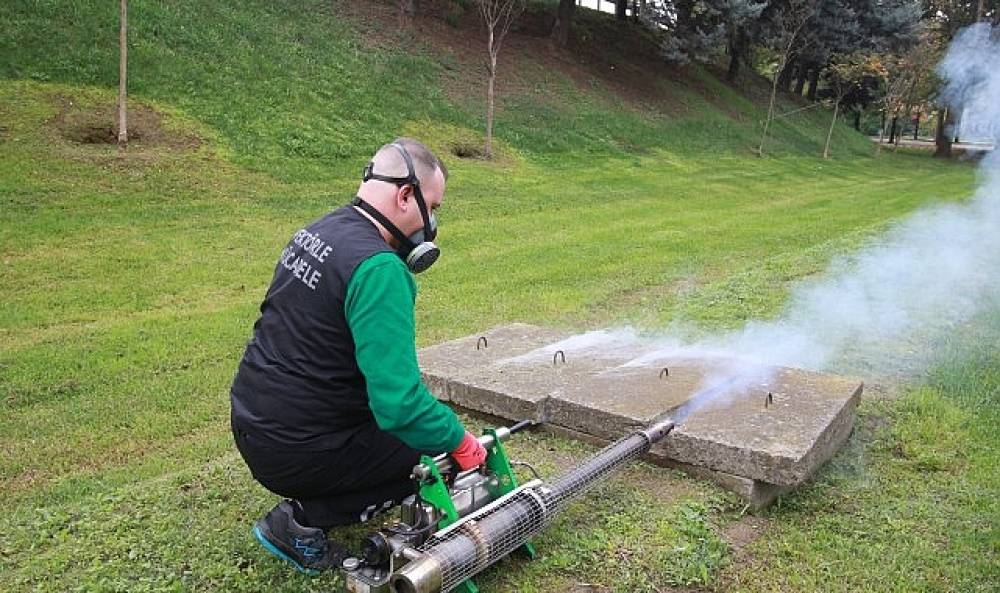 Sinekle mücadele sonbaharda da hız kesmiyor