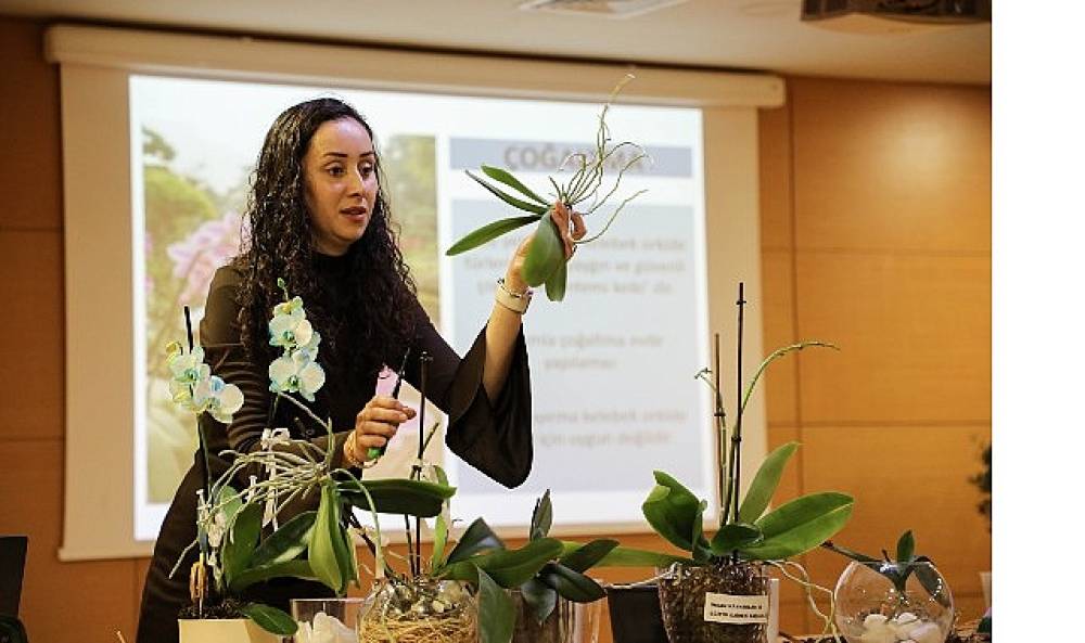 B&uuml;y&uuml;kşehir Belediyesi'nden orkide bakımı eğitimi