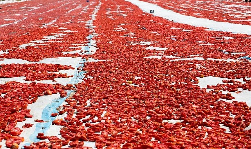 Meyve sebze mamulleri ihracatında aslan payı Ege B&ouml;lgesi'nin