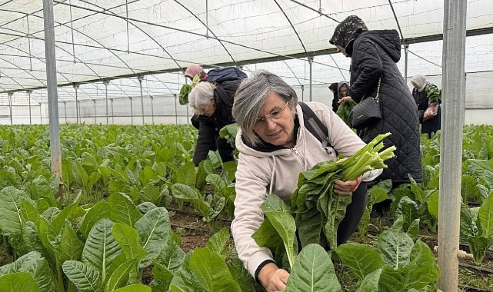İzmit Saygınlar Kul&uuml;b&uuml; 1 yaşında