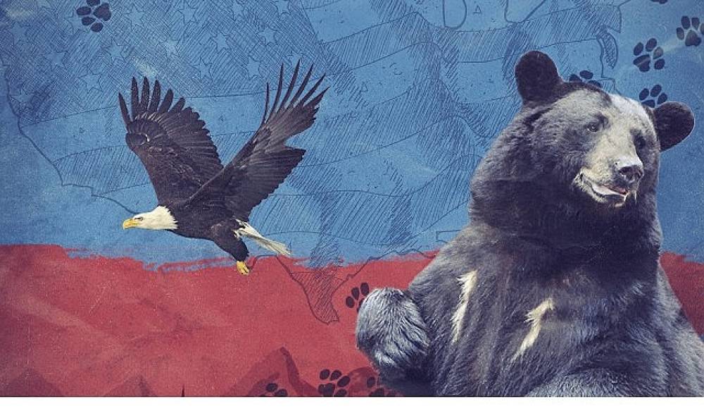 2 B&ouml;l&uuml;mden Oluşan 'Amerika'nın Hayvanları',   24 Mayıs Pazar Saat 20.00'de  National Geographic WILD Ekranlarında Başlıyor!