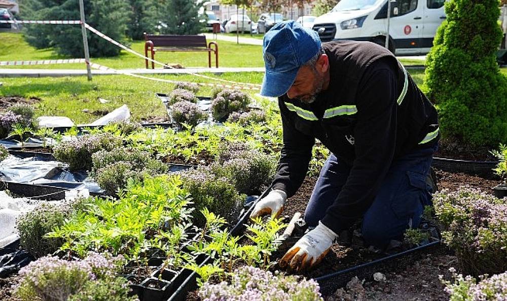 Ke&ccedil;i&ouml;ren Yazı Reng&acirc;renk Karşılıyor