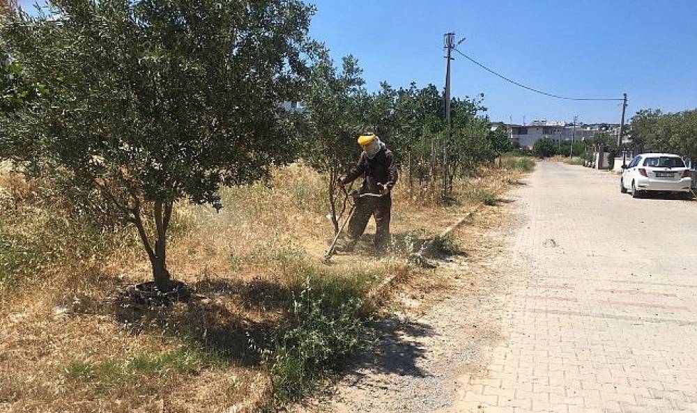 Didim Belediyesi Yeşil Alanlarda Bakım &Ccedil;alışmalarını S&uuml;rd&uuml;r&uuml;yor