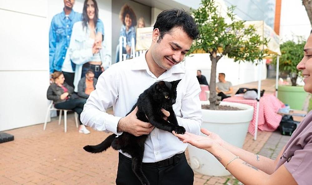 Konak'ta kalpler patili dostlar için attı