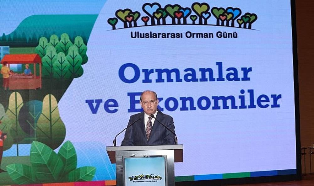 Ormanların Ekonomik G&uuml;c&uuml;ne Dikkat &Ccedil;ekildi