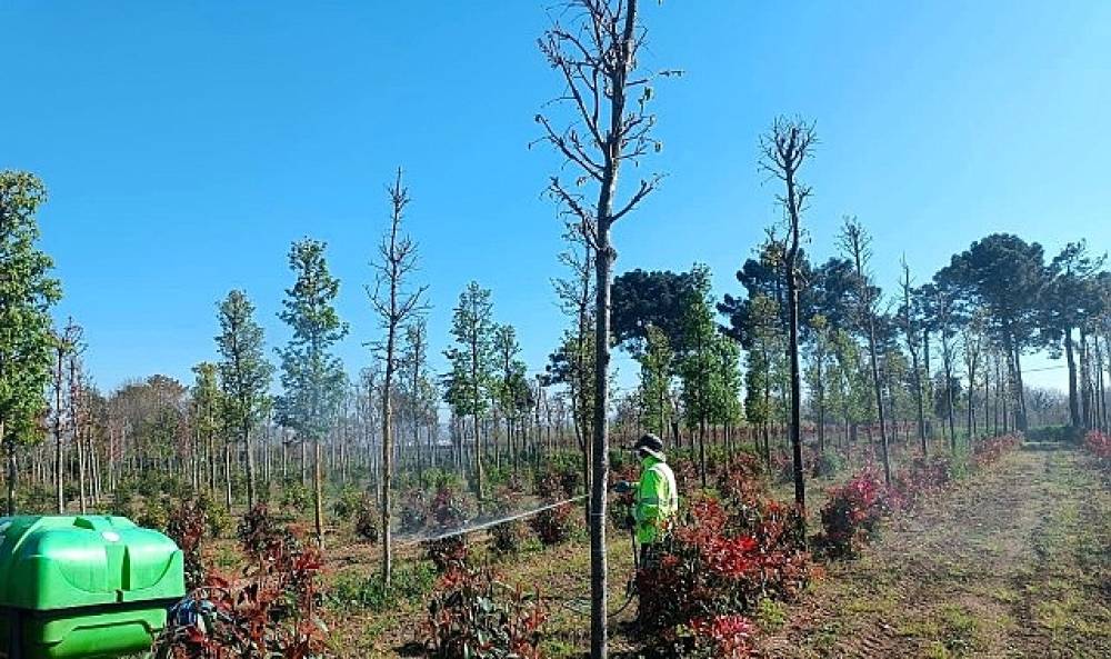 Fidanlara koruyucu m&uuml;dahale   