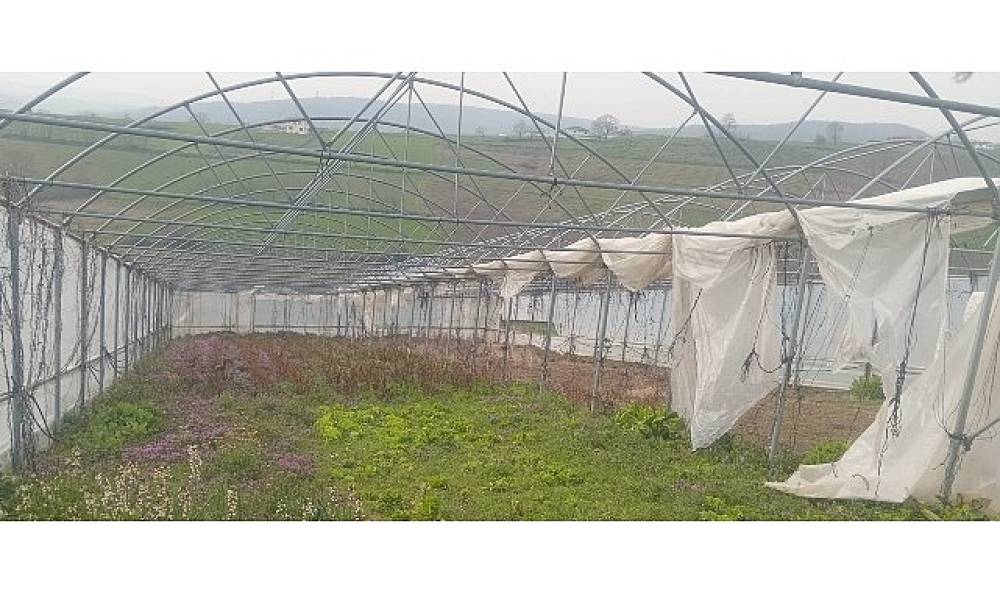 B&uuml;y&uuml;kşehir'den seraları zarar g&ouml;ren &uuml;reticilere destek