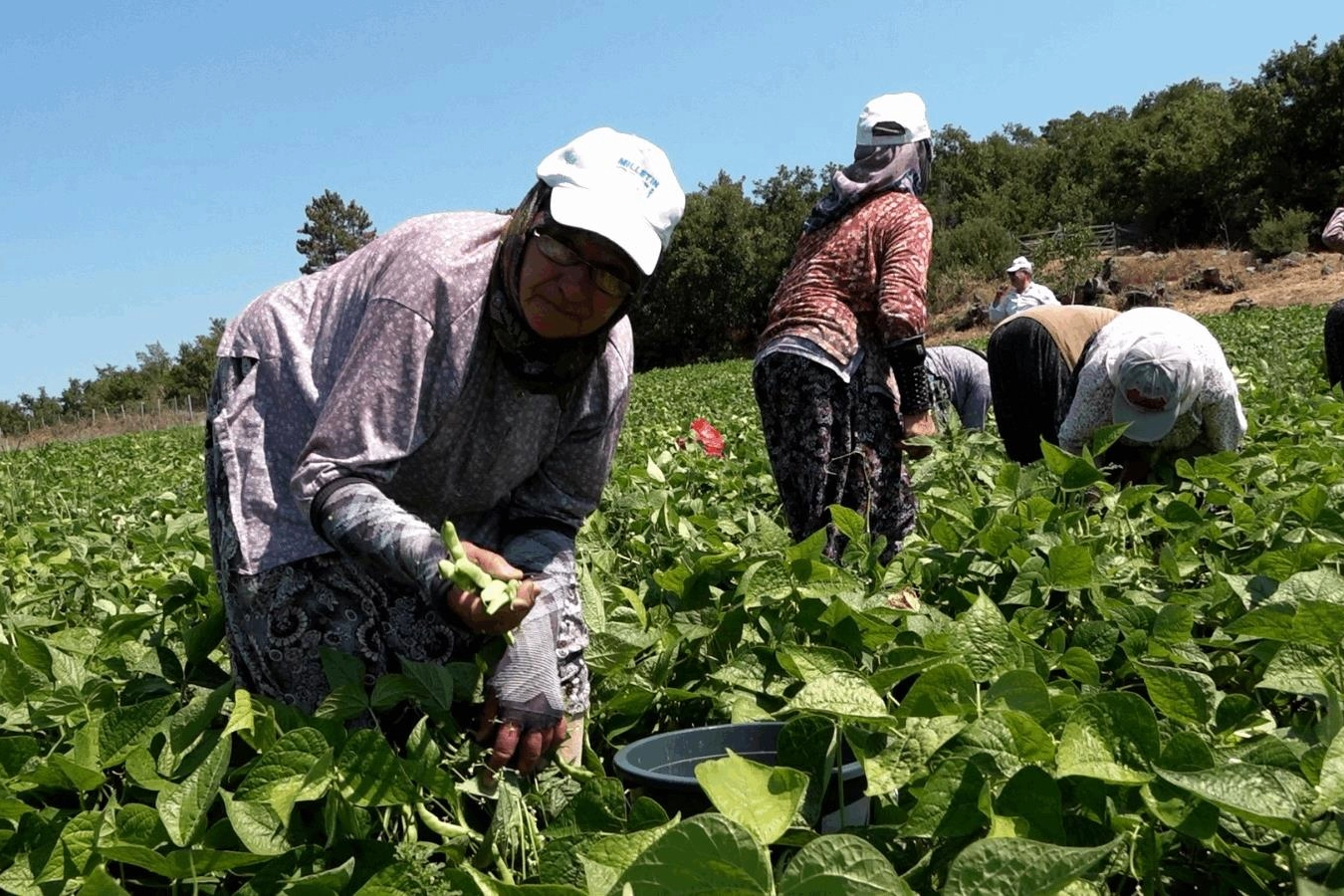 Tarımsal Kalkınmaya Balıkesir Desteği