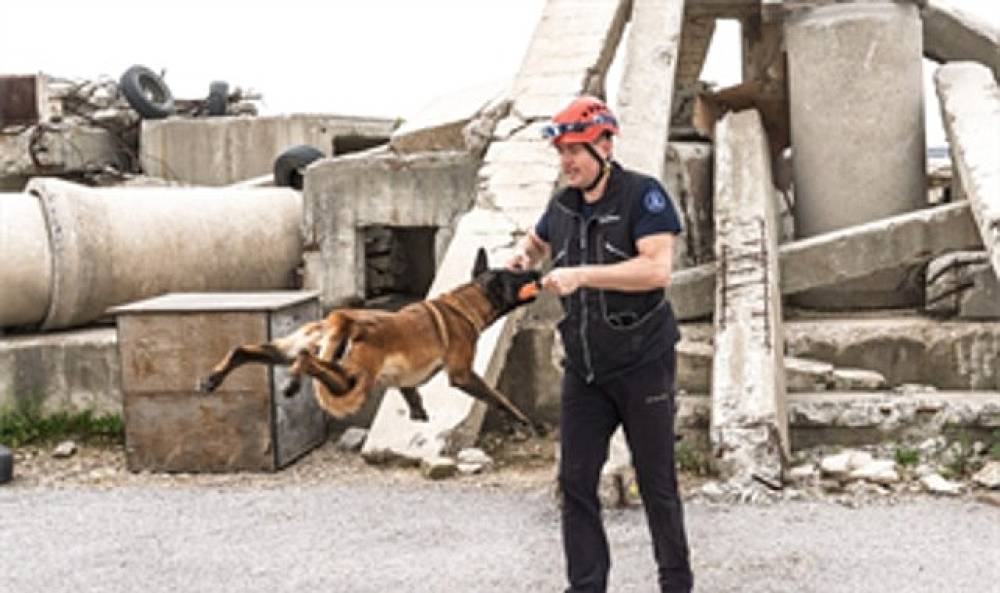 Momo enkaz i&ccedil;in eğitiliyor