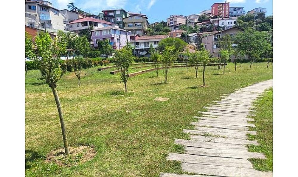 İBB, Park ve Bah&ccedil;elere Meyve Ağa&ccedil;ları Dikiyor