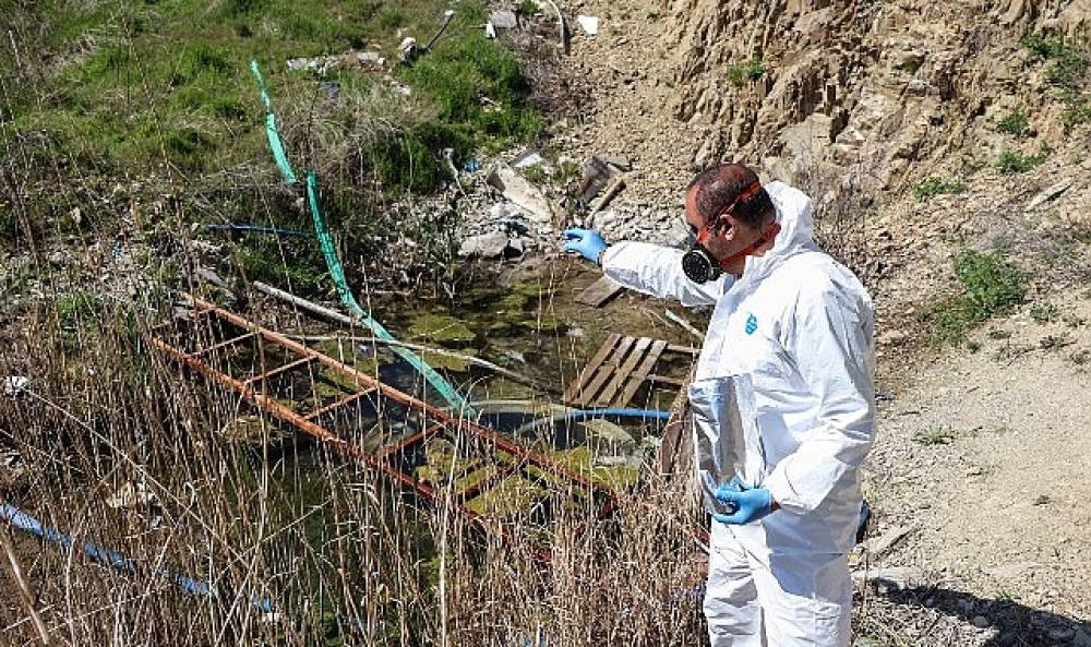 &Ccedil;ankaya'da İla&ccedil;lama &Ccedil;alışmaları Hızlandı
