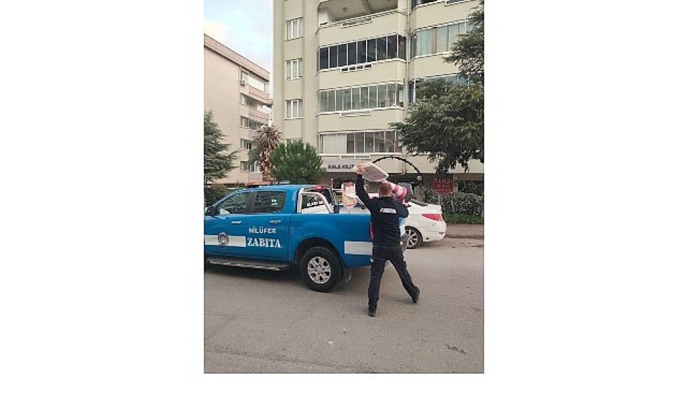 Nilüfer'de kapsamlı temizlik