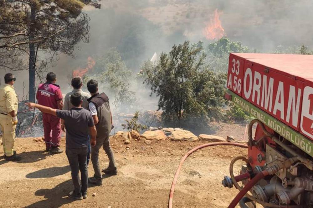 Bozdoğan Yazıkent’teki Makilik Yangını Kontrol Altına Alındı
