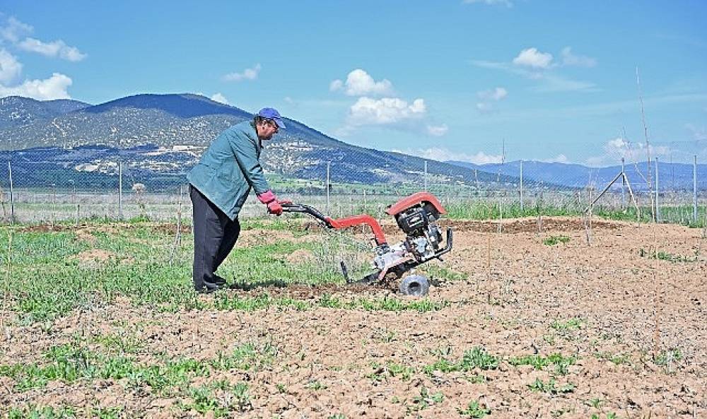 B&uuml;y&uuml;kşehir ipek b&ouml;ceği yetiştiriciliğini yaygınlaştırıyor