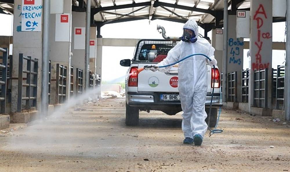 Osmangazi'de Kurban Pazarları İla&ccedil;lanarak Dezenfekte Edildi