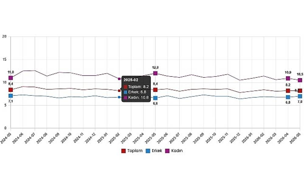 İşg&uuml;c&uuml; İstatistikleri, Mayıs 2026