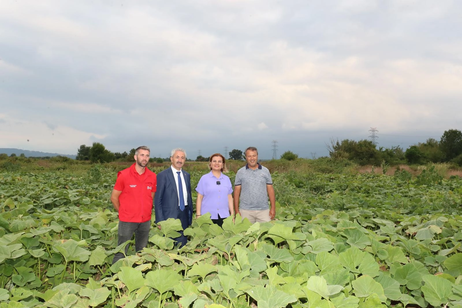 İzmit'te Balkabağı Hasatı ve Gelecek Planları