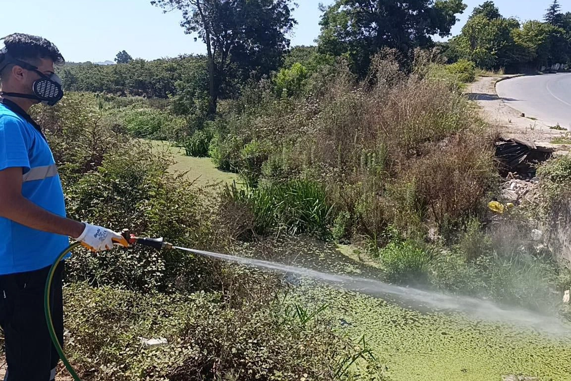 Sakarya'da Halk Sağlığı İçin Etkin Vektör Mücadelesi
