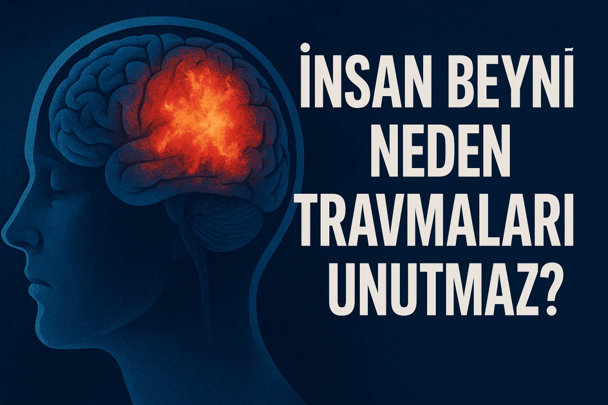 İnsan Beyni Neden Travmaları Unutmaz?