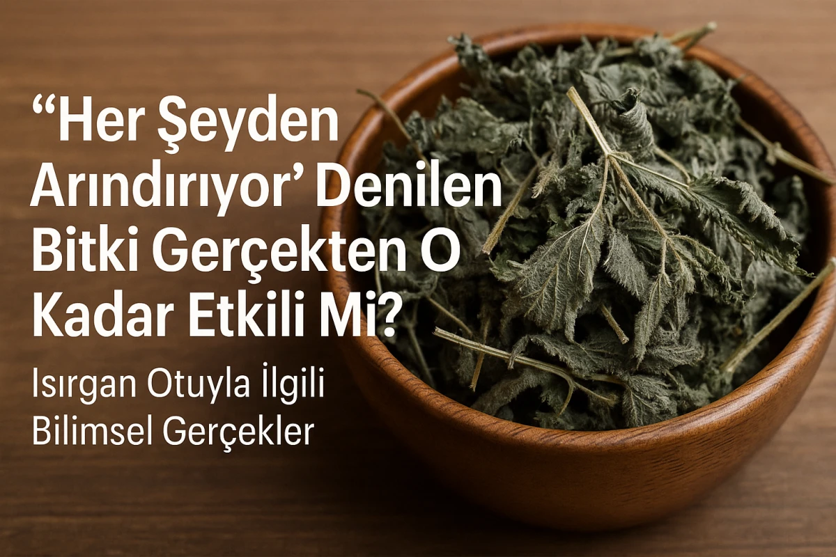  Isırgan Otuyla İlgili Bilimsel Gerçekler